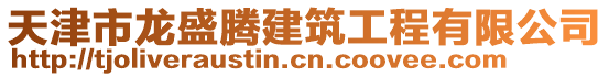 天津市龍盛騰建筑工程有限公司