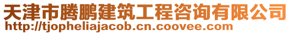 天津市騰鵬建筑工程咨詢有限公司