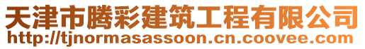 天津市騰彩建筑工程有限公司