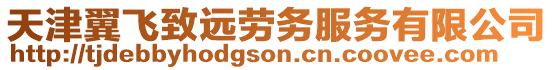 天津翼飛致遠勞務(wù)服務(wù)有限公司