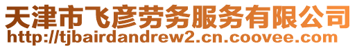 天津市飛彥勞務(wù)服務(wù)有限公司