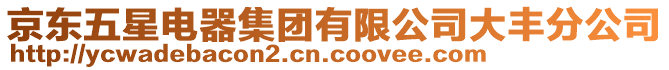 京東五星電器集團有限公司大豐分公司