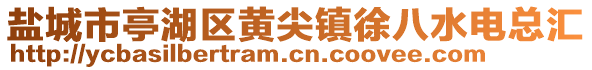 鹽城市亭湖區(qū)黃尖鎮(zhèn)徐八水電總匯