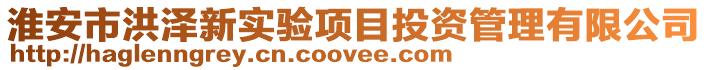 淮安市洪澤新實驗項目投資管理有限公司