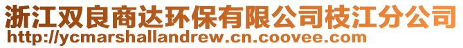 浙江雙良商達(dá)環(huán)保有限公司枝江分公司