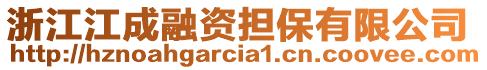 浙江江成融資擔保有限公司