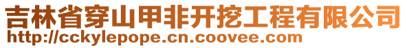 吉林省穿山甲非開挖工程有限公司