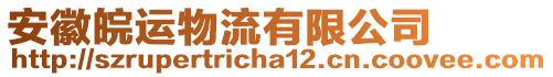 安徽皖運(yùn)物流有限公司