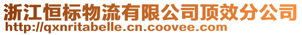 浙江恒標(biāo)物流有限公司頂效分公司