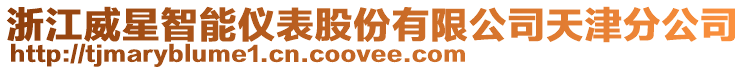 浙江威星智能儀表股份有限公司天津分公司