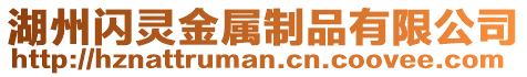 湖州閃靈金屬制品有限公司