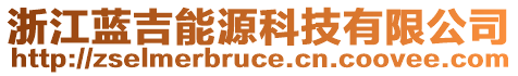 浙江藍(lán)吉能源科技有限公司