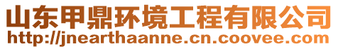 山東甲鼎環(huán)境工程有限公司