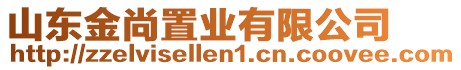 山東金尚置業(yè)有限公司