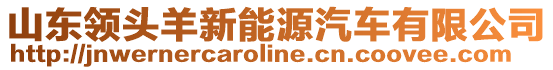 山東領(lǐng)頭羊新能源汽車有限公司