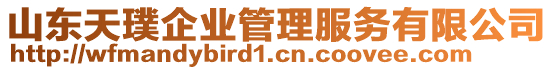 山東天璞企業(yè)管理服務(wù)有限公司