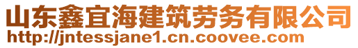 山東鑫宜海建筑勞務有限公司