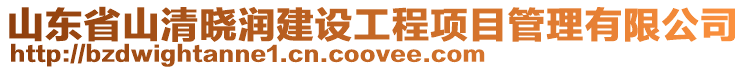 山東省山清曉潤建設工程項目管理有限公司