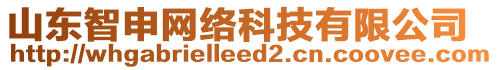 山東智申網絡科技有限公司