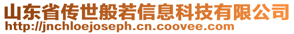 山東省傳世般若信息科技有限公司