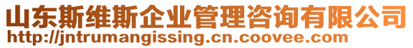 山東斯維斯企業(yè)管理咨詢有限公司