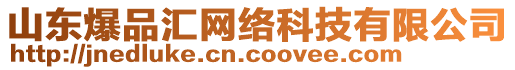 山東爆品匯網(wǎng)絡(luò)科技有限公司