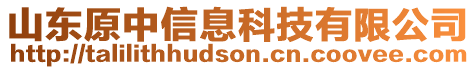 山東原中信息科技有限公司