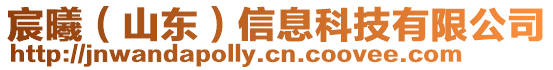 宸曦(山東)信息科技有限公司