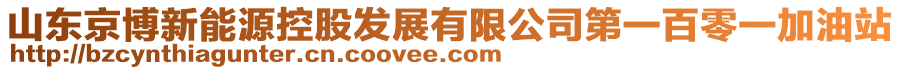 山東京博新能源控股發(fā)展有限公司第一百零一加油站