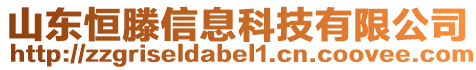 山東恒滕信息科技有限公司