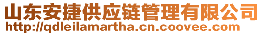 山東安捷供應(yīng)鏈管理有限公司