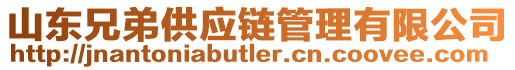 山東兄弟供應鏈管理有限公司