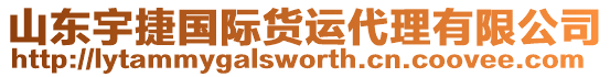 山東宇捷國際貨運代理有限公司