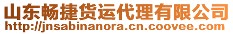 山東暢捷貨運代理有限公司