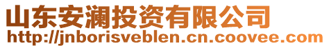 山東安瀾投資有限公司