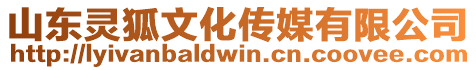 山東靈狐文化傳媒有限公司