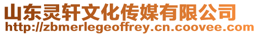 山東靈軒文化傳媒有限公司