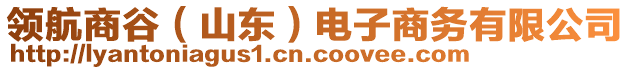 領(lǐng)航商谷（山東）電子商務(wù)有限公司