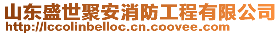 山東盛世聚安消防工程有限公司