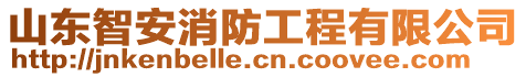 山東智安消防工程有限公司