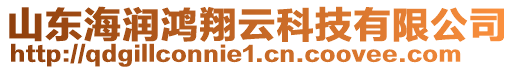 山東海潤鴻翔云科技有限公司