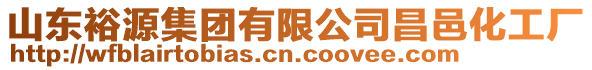 山東裕源集團(tuán)有限公司昌邑化工廠