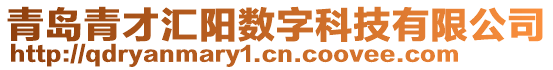 青岛青才汇阳数字科技有限公司