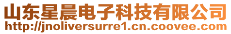 山東星晨電子科技有限公司