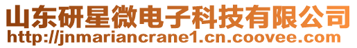 山東研星微電子科技有限公司