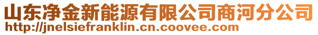 山東凈金新能源有限公司商河分公司