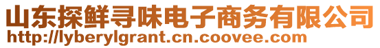 山東探鮮尋味電子商務(wù)有限公司