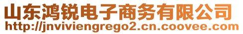 山東鴻銳電子商務(wù)有限公司