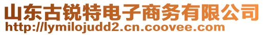 山東古銳特電子商務(wù)有限公司