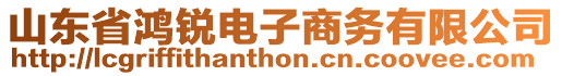 山東省鴻銳電子商務有限公司